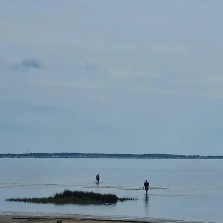 Bord De Plage & Piscine Naturelle * Ares