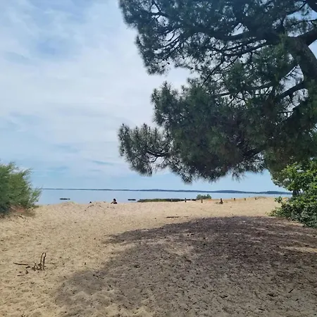 Bord De Plage & Piscine Naturelle Ferienhaus Ares